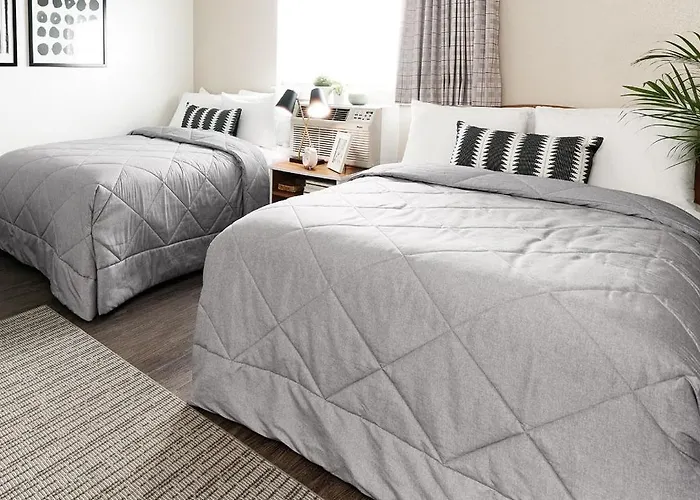 Hotel Intown Extended Chicago Il -